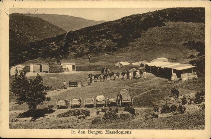 Mazedonien In den Bergen Pferd