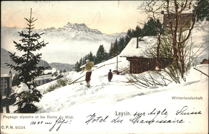 Leysin Ski Dents du Midi