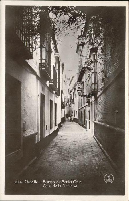 Sevilla Andalucia Barrio de Santa Cruz Calle de la Pimien