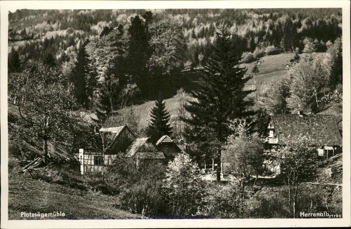 Bad Herrenalb Plotzsägemühle Waldrestaurant Bes. Frie