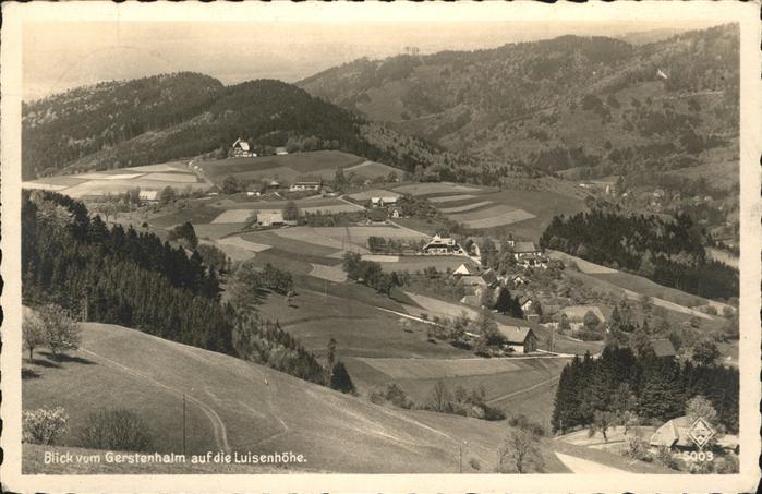 Freiburg Breisgau Luisenhöhe Panorama
