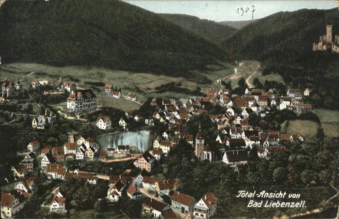 Bad Liebenzell Gesamtansicht
