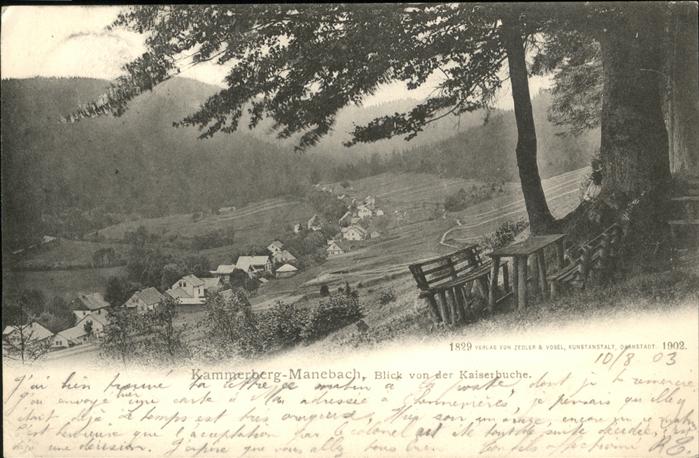 Kammerberg Manebach Gesamtansicht Kaiserbuche