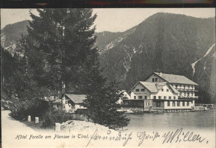Plansee Hotel Forelle