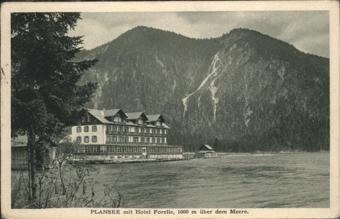 Plansee Hotel Forelle