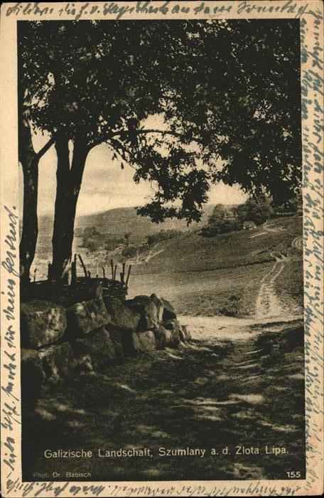 Szumlany Galizien Galizische Landschaft
Zlota
Lipa