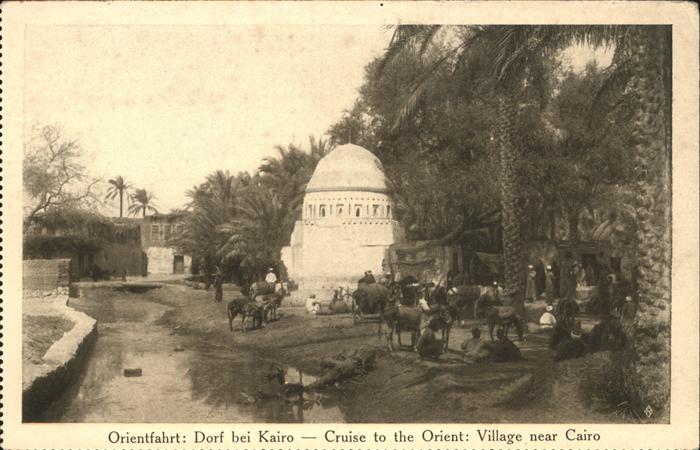 Kairo Orientfahrt Esel