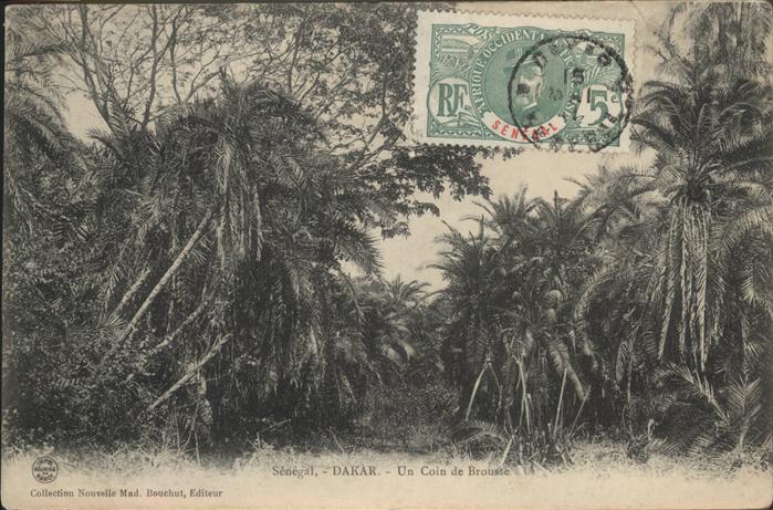 Dakar Cion de Brousse