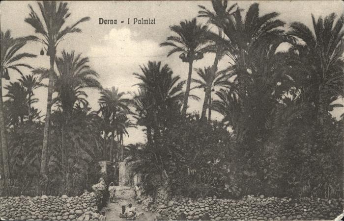 Derna Darna Libyen Palmizi