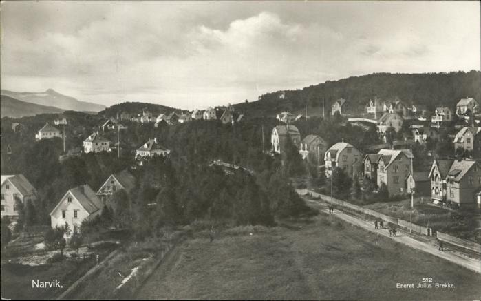 Narvik Panorama