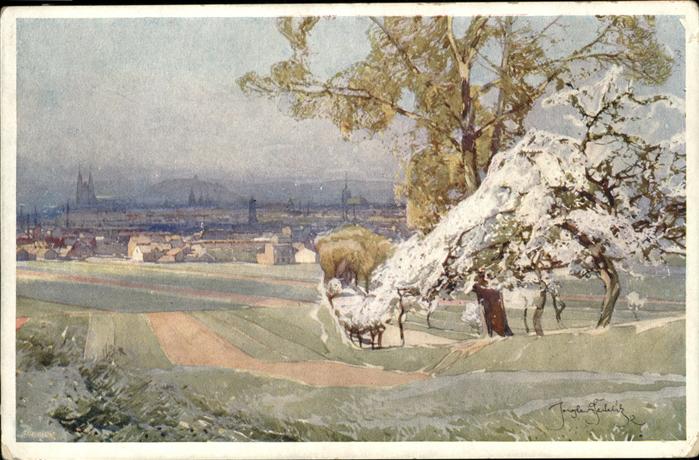 Bruenn Brno Roter Berg