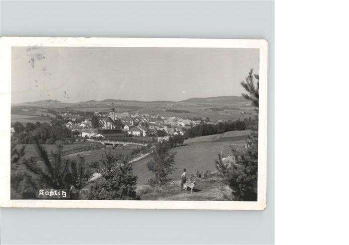 Kaplice Okres Cesky Krumlov Kaplitz
Panorama
