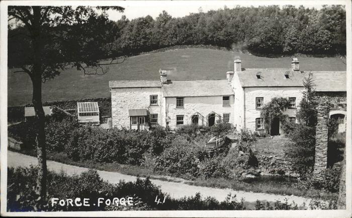 Force Mayenne