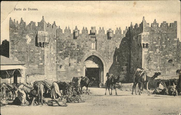 Damas Damaskus Syria Kamel Porte