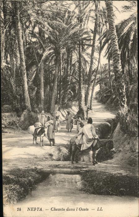 Nefta Chemin dans L_Oasis