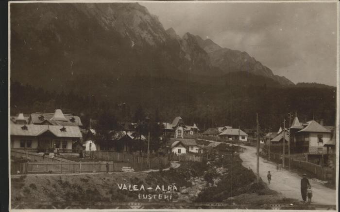 Busteni Valea-Alra