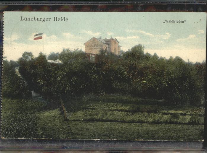 Lueneburger Heide Waldfrieden