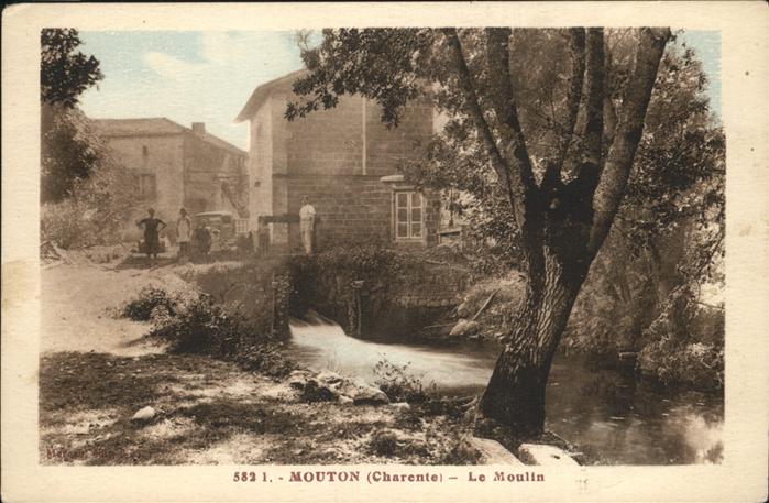 Mouton Moulin NZ4