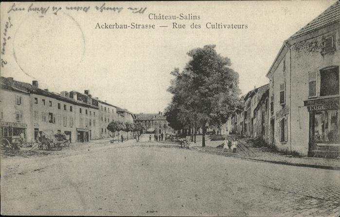 Chateau-Salins Rue Cultivateurs