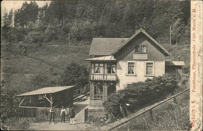 Markirch Forsthaus Pflanzschule