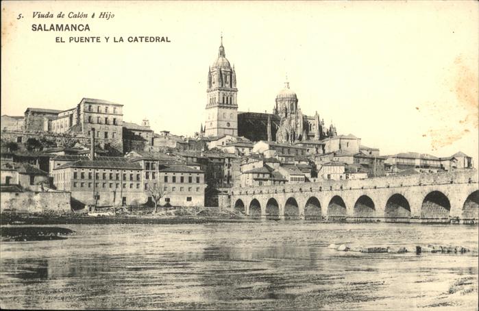 Salamanca Castilla y Leon Puente 
Catedral