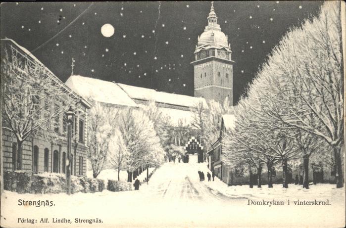 Strengnaes Förlag: Alf. Lindhe
Domkrykan i vinter