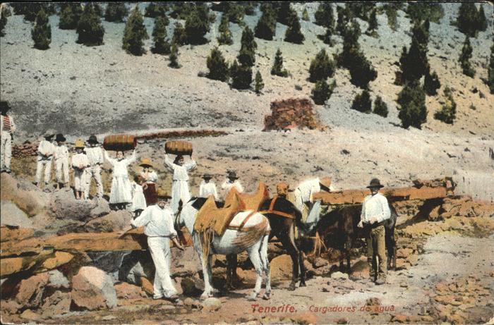 Tenerife Pfers Cargadores de agua