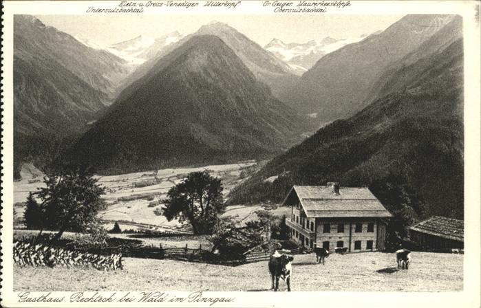 Wald Pinzgau Gasthaus Rechteck