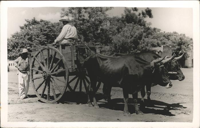 Asuncion Ochsekarren