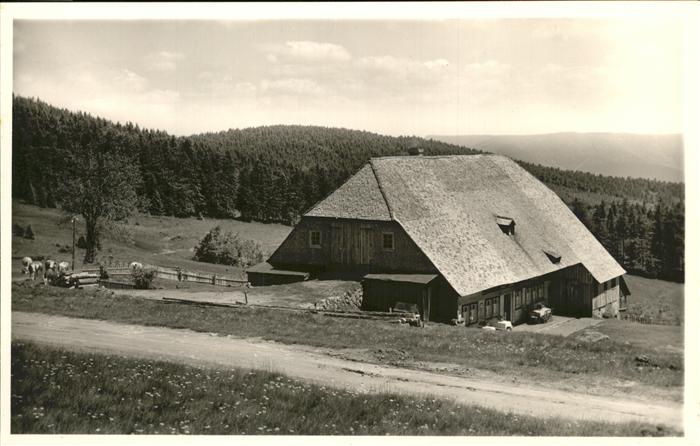 Kandel Waldkirch Breisgau Berg Gasthaus Kandelhof