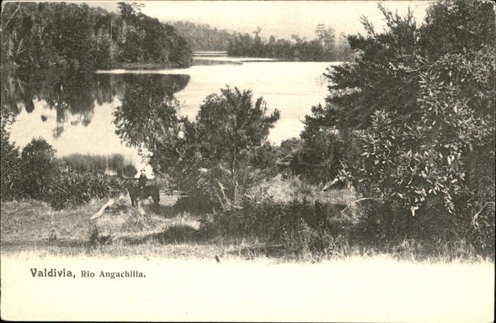 Valdivia Rio Angachilla