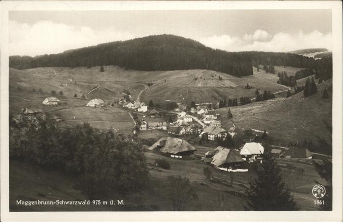 Muggenbrunn Panorama
