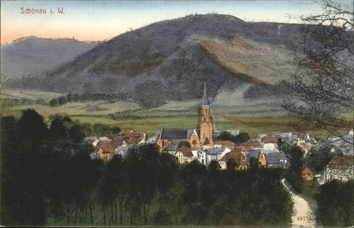 Schoenau Schwarzwald Gesamtansicht