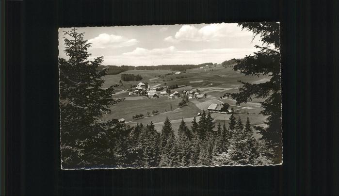 Waldau Titisee-Neustadt Gesamtansicht