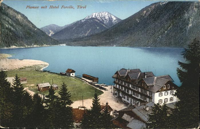 Plansee Hotel Forelle