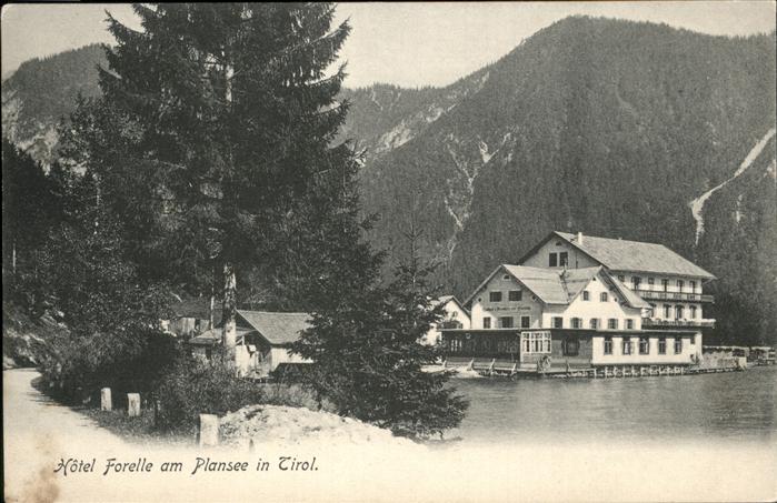 Plansee Hotel Forelle