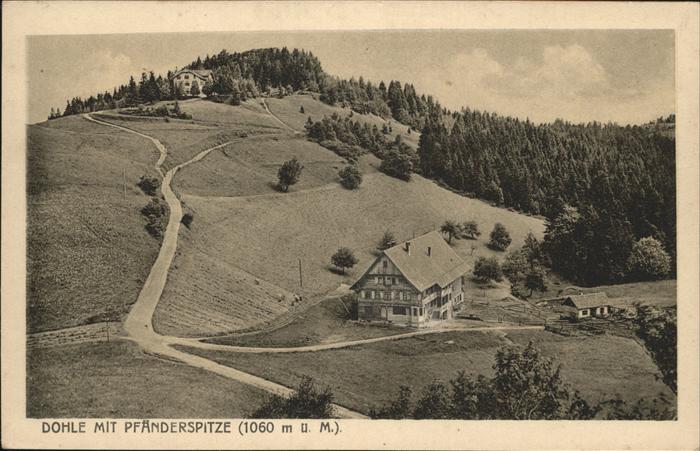 Pfaenderhochspitze Dohle