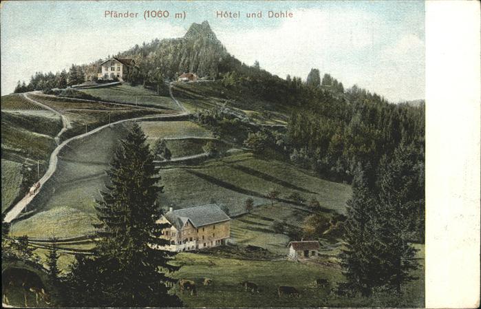 Bregenz Vorarlberg Pfänder Hotel Dohle