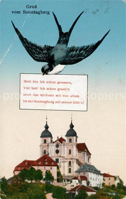 Sonntagberg Kloster Taube
