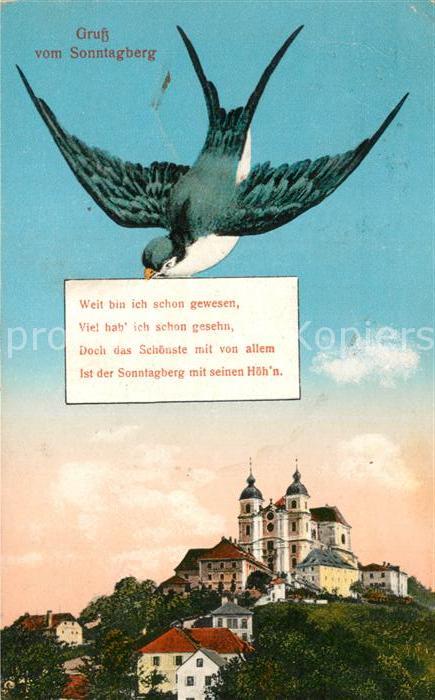 Sonntagberg Kloster Brieftaube