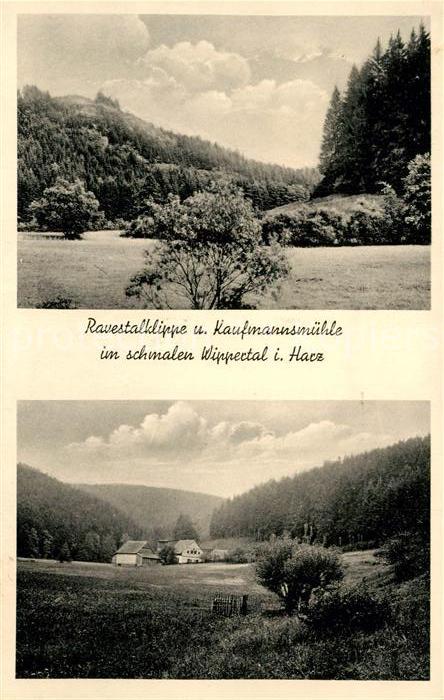Harz Region Ravestalklippe und Kaufmannsmuehle im Wippertal