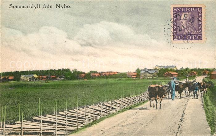 Nybo Svaenaskogen Sweden Sommaridyll