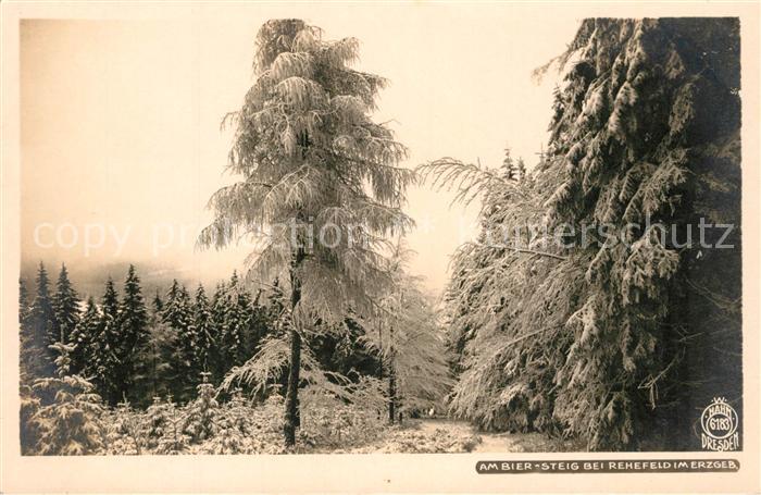 Foto Hahn Nr. 6183 Bier-Steig Rehefeld Erzgebirge