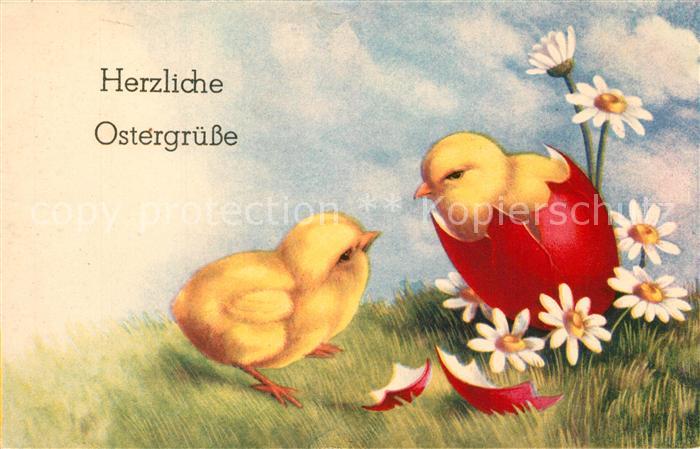 Ostern Easter Paques Küken Ei Gänseblümchen