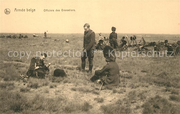 Militaria Belgien Armee Belge Officiers des Grenadiers