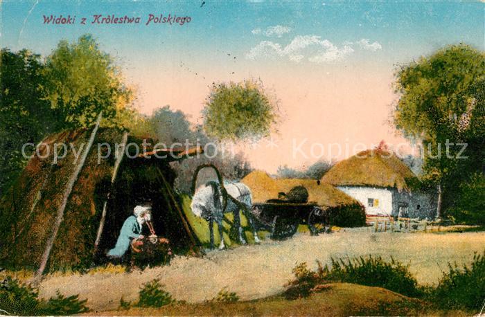 Bauernhaus Widoki z Krolestwa Polskiego