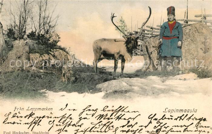 Rentier Fran Lappmarken Lapinmaasta