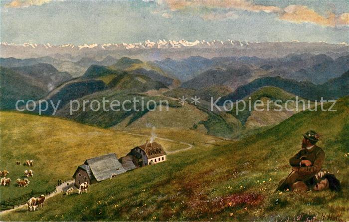 Hoffmann Heinrich Belchen Hotel Alpenblick