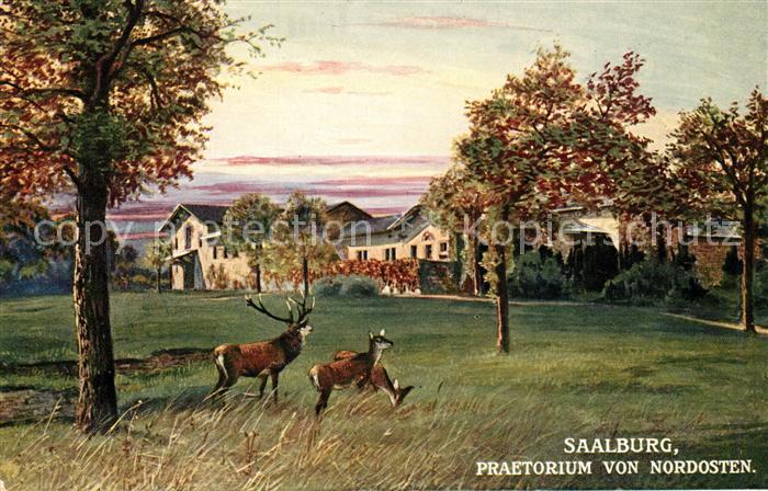 Verlag Wiedemann WIRO Nr. 2001 A Saalburg Praetorium Hirsche