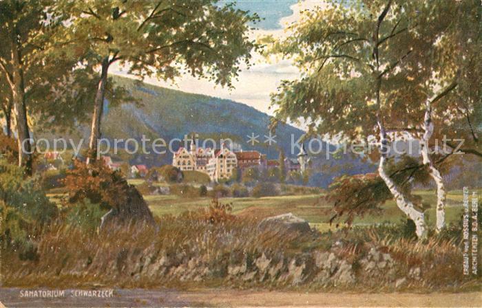 Verlag WIRO Wiedemann Nr. 2475 B Sanatorium Schwarzeck Bad Blankenburg